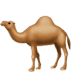 :dromedary_camel: